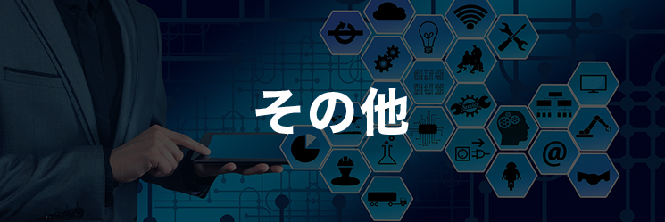 その他