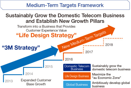 Medium-Term Targets Framework