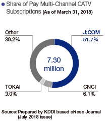 Share of Pay Multi-Channel CATV Subscriptions (As of March 31, 2018)