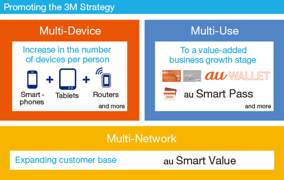 Promoting the 3M Strategy