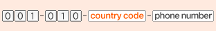 001-010-country code-phone number